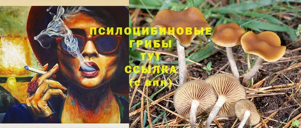 гашиш Гусев