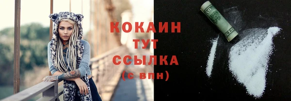 гидропоника Гусь-Хрустальный