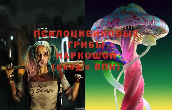 сатива Гусиноозёрск