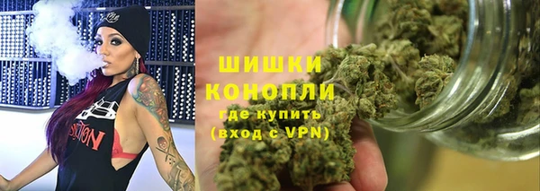 гидропоника Гусь-Хрустальный