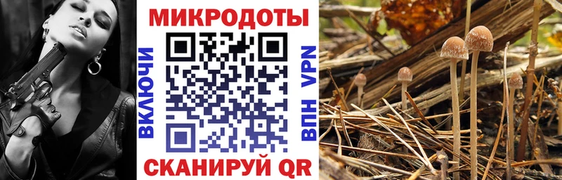 купить закладку  Невель  Псилоцибиновые грибы мицелий 